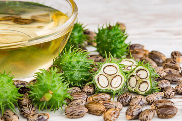 fruits and castor oil in bowl on the table, Ricinus communis © Alexander Ruiz