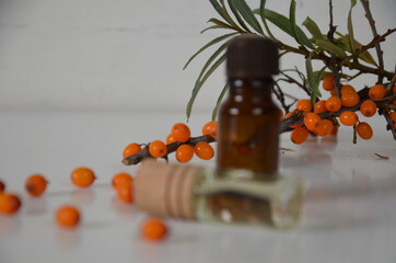 sea-buckthorn berries cluster and oil bottle jar isolated on a white background