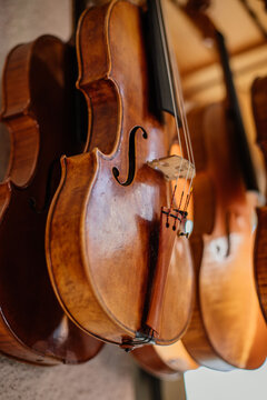 Collection of violins hanged at ceiling and drying after lacquering outdoors against blurred exterior of light modern workshop