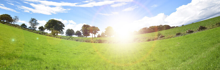 Obraz na płótnie Canvas panoramic view of green field at sunshine 