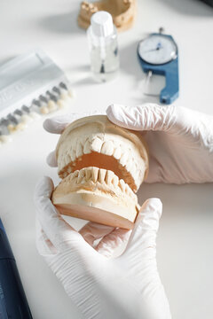 From above of crop anonymous dentist in medical gloves working with dental prosthesis in modern laboratory
