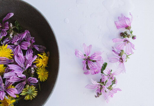 Yellow and mauve flowers in bowls on table