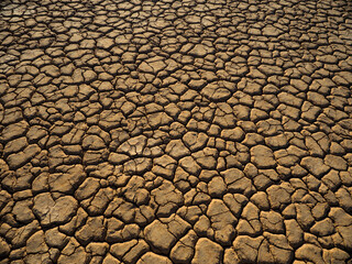 Cracked earth in adesert  dry lake bed