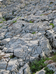 Carbonate rock, Korcula island, Croatia