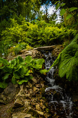 Mini waterfall in the botanical park in Lublin. - obrazy, fototapety, plakaty