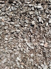 Tree bark for covering playgrounds (wood texture)