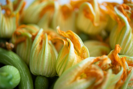 close up di fiori di zucchina pronti da friggere