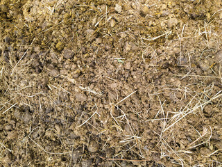 Horse manure with hay and sawdust