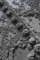 steel Background with rivets and tarmac