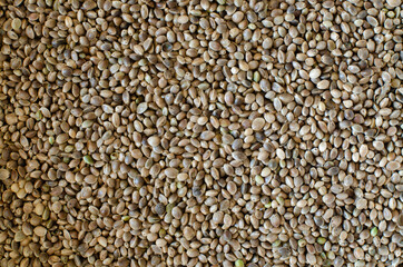 industrial hemp seeds background. Top view.