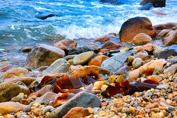 sea and stones