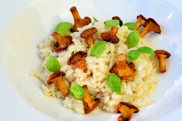 Pfifferlinge Risotto