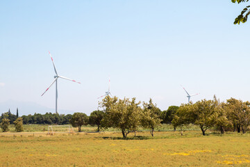 Wind roses working for clean nature. production of electricity.