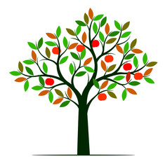 Shape of Tree with colour leaves and Fruits. Vector outline Illustration. Plant in Garden.