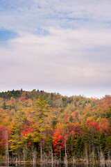 Fototapeta premium A reflection pond surrounded by hardwood trees in the autumn season showing peak fall colors in Adirondack National Park, Upper New York