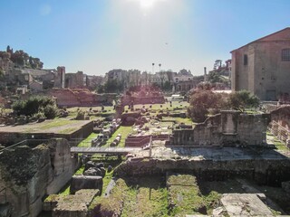 Naklejka premium Rome, Italy, 23 February, 2019: ruins of the City of Rome