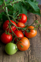 naturalne dojrzewające pomidory na drewnianym stole