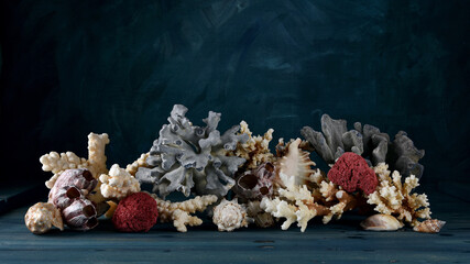 Obraz na płótnie Canvas Corals and sea shells on a sea colours background.