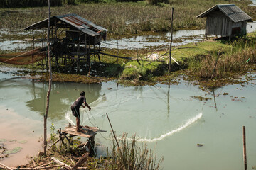 Fototapeta na wymiar Thailand fisher man trow a net in a backwater village
