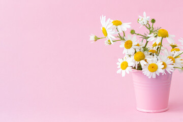 Floral arrangement with white daisies standing in a pink bucket on a light pink background. Copy space