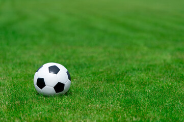 Black and white soccer ball on green soccer pitch. Team sport concept.