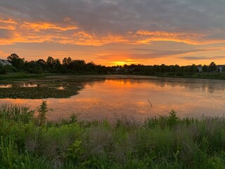 Fototapeta na wymiar Sunsetting over the pond in Loudoun County, Virginia. 