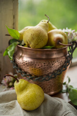 Ripe pears in a copper pot on the window