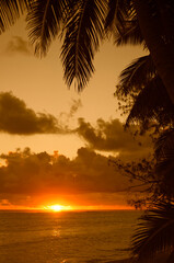 Fototapeta na wymiar Sunset over Lagoon framed from Coco Palms