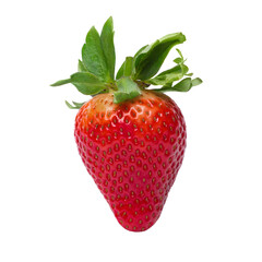 Strawberries isolated on white background close-up