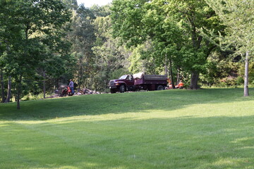 Men working clearing a down tree