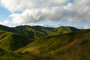 Rolling Green Hills and Clouds