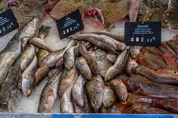 Capbreton , France. 27.06.2020. French fish market. Ocean different type of fresh fishes.