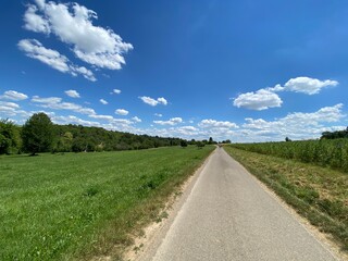Fototapeta na wymiar Schmale Straße am Horizont Spaziergänger, daneben grünes Feld. Himmel ist blau mit weißen Wolken.