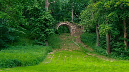 Fototapeta premium bridge in the forest