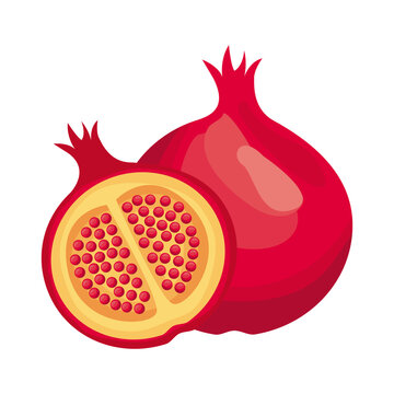 grenade fresh delicious fruit detailed style icon