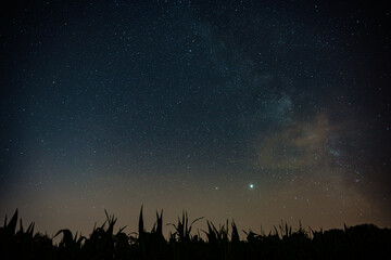 Obraz na płótnie Canvas Milky way above corn field near Prague, Czech republic