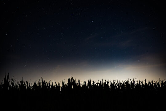 Night photo of C/2020 F3 Neowise comet above corn field