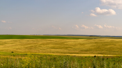 green field and blue sky