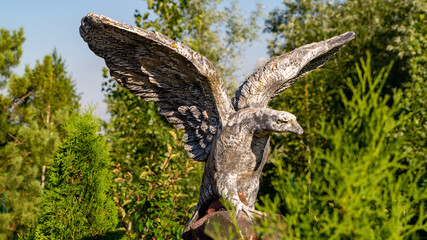 eagle in flight