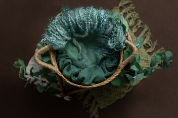 wicker basket for newborn photo sessions. props for the photo shoot are decorated with eucalyptus...