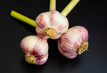 Medicinal and aromatic properties of fresh garlic. Heads of garlic in the kitchen.