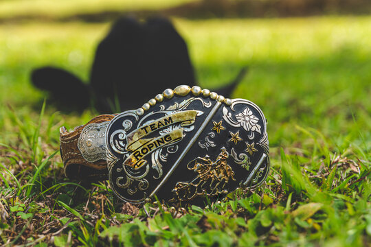 Lasso - Cowboy buckle, team roping!