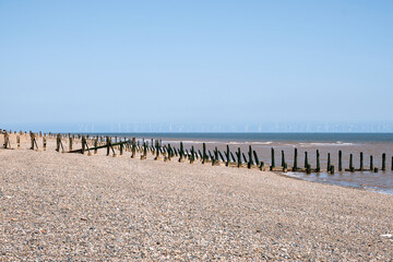 Fototapeta premium Weathered wooden posts form a sea defence on Spurn Point beach, England. Colourful sea in the foreground and a North Sea wind turbine farm is in the background.