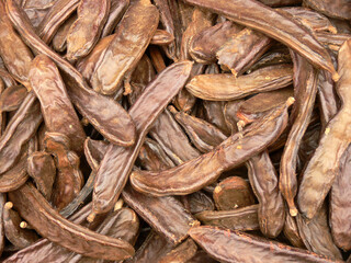 Carob texture. Carob, (Ceratonia siliqua), also called locust bean or St. John’s bread, tree of the pea family and grown for its edible pods.
