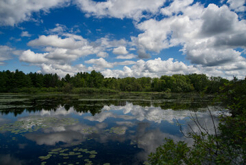 A beautiful lake on a summers day