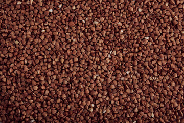 buckwheat. fresh buckwheat. dry buckwheat background. buckwheat texture