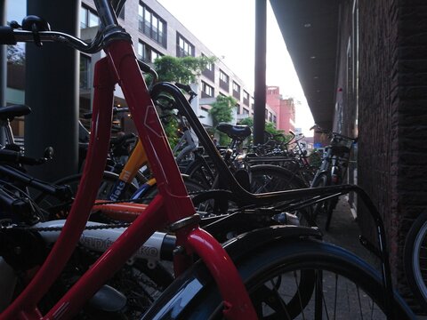 Crowded Bicycle Parking in a City 