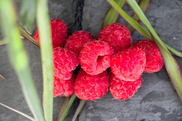 Red ripe raspberries in the garden
