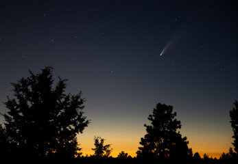 Neowise comet after sunset