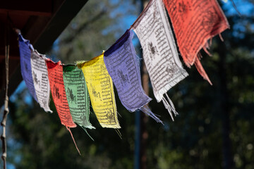 Tibetan prayer flags in closeup with a dark forested background 